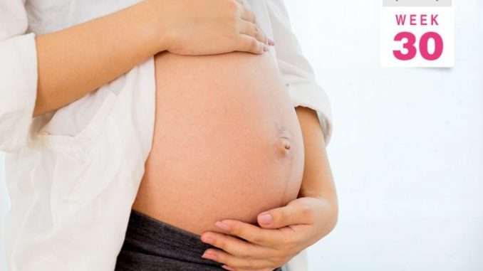 Stages of pregnancy development?