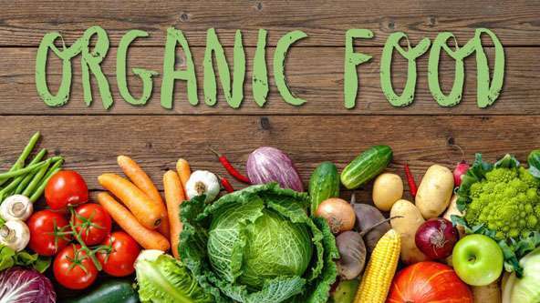 What is organic food?