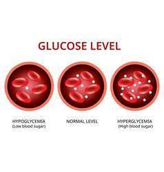 Blood sugar glucose