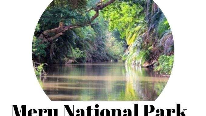 Meru National Park
