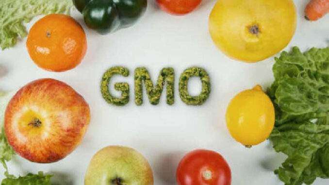 Image of GMO foods
