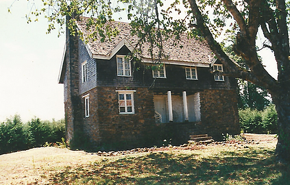 Castle forest lodge