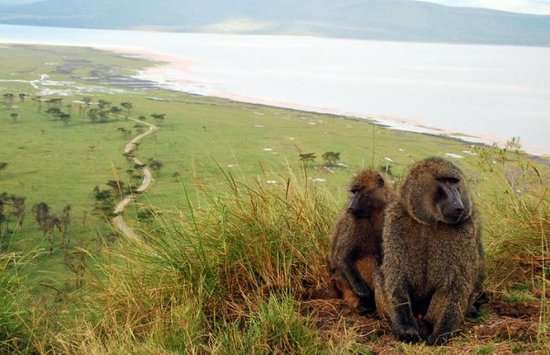 Baboon Cliff View Point in Nakuru.