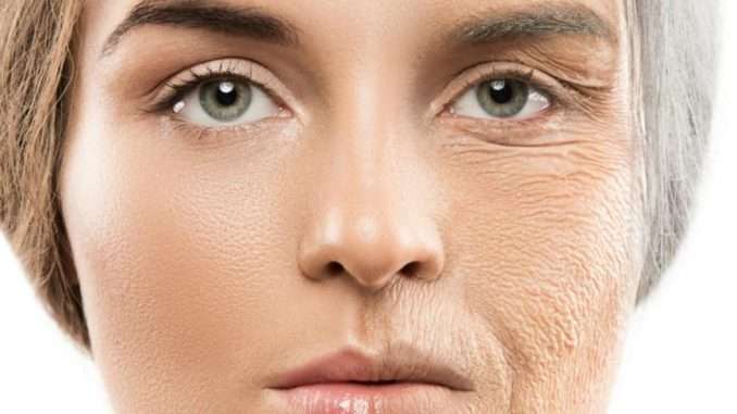 Remedies to premature skin aging
