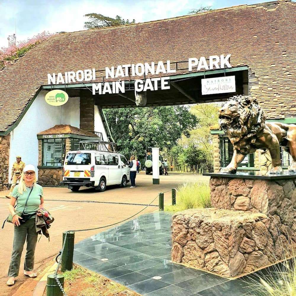 Where is Nairobi National Park? Park Entry Fee?