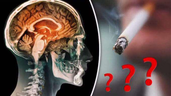 Smoking affects the brain cognation