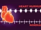 Heart Murmurs image jpg